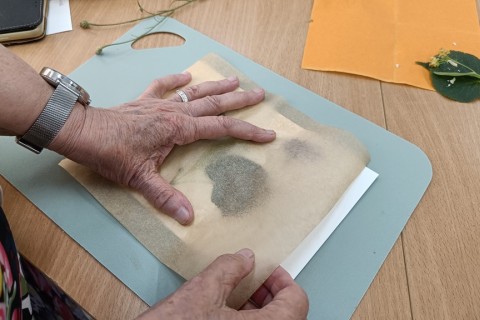 Zioła smaczne, zdrowe i niezwykłe- Kwieciste smaki i kolory