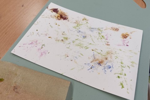 Zioła smaczne, zdrowe i niezwykłe- Kwieciste smaki i kolory