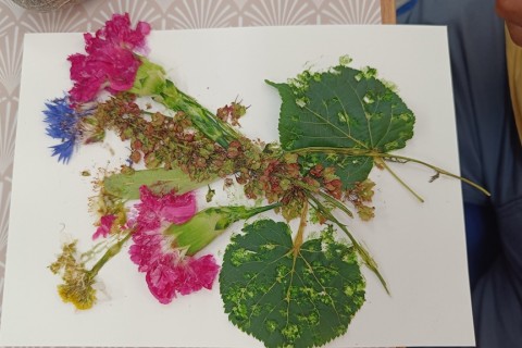 Zioła smaczne, zdrowe i niezwykłe- Kwieciste smaki i kolory