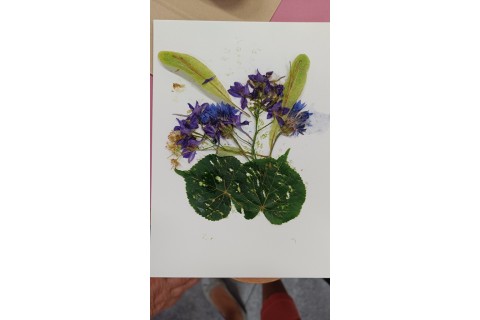 Zioła smaczne, zdrowe i niezwykłe- Kwieciste smaki i kolory