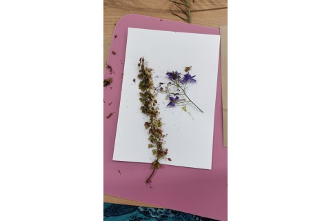 Zioła smaczne, zdrowe i niezwykłe- Kwieciste smaki i kolory