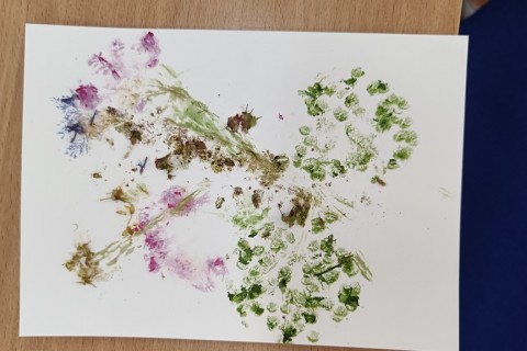 Zioła smaczne, zdrowe i niezwykłe- Kwieciste smaki i kolory