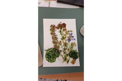 Zioła smaczne, zdrowe i niezwykłe- Kwieciste smaki i kolory