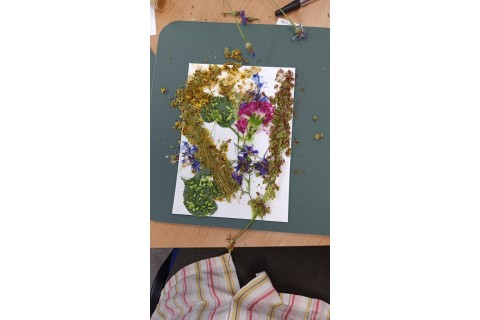 Zioła smaczne, zdrowe i niezwykłe- Kwieciste smaki i kolory