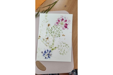 Zioła smaczne, zdrowe i niezwykłe- Kwieciste smaki i kolory