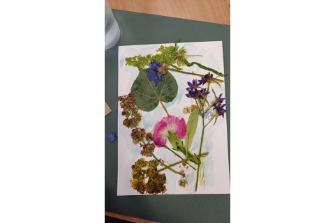 Zioła smaczne, zdrowe i niezwykłe- Kwieciste smaki i kolory