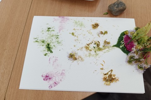 Zioła smaczne, zdrowe i niezwykłe- Kwieciste smaki i kolory