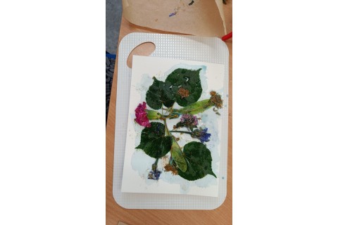 Zioła smaczne, zdrowe i niezwykłe- Kwieciste smaki i kolory