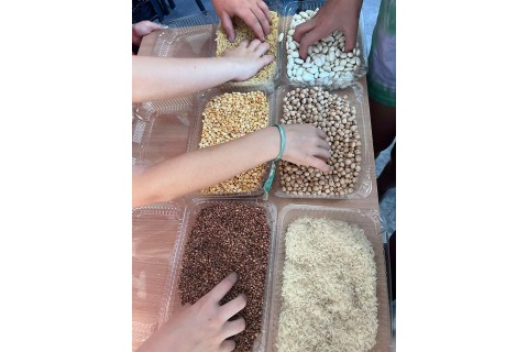 Warsztaty kreatywne dla dzieci 7+ Tworzymy mandale