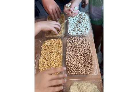 Warsztaty kreatywne dla dzieci 7+ Tworzymy mandale