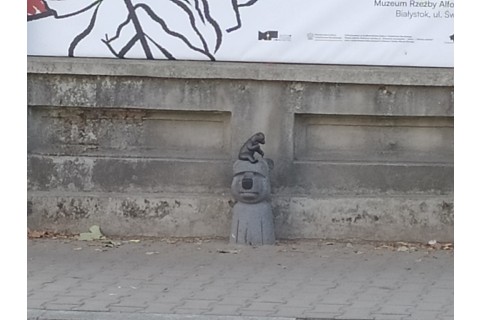 Seniorzy szlakiem WidziMisiów - spacer