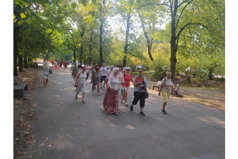 Seniorzy szlakiem WidziMisiów - spacer