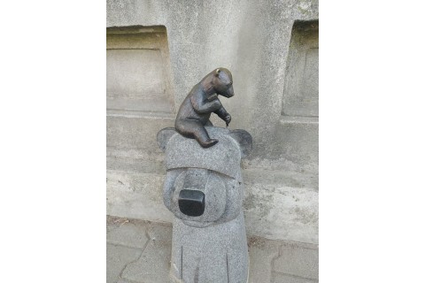 Seniorzy szlakiem WidziMisiów - spacer