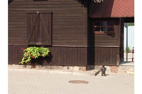 Seniorzy szlakiem WidziMisiów - spacer