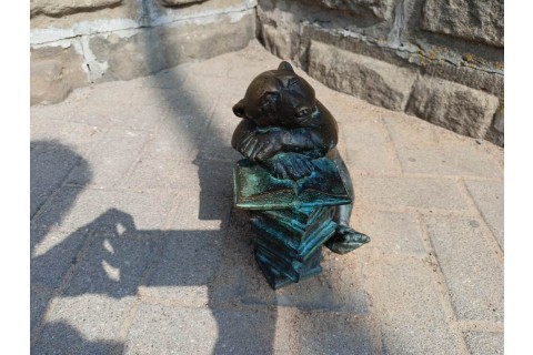 Seniorzy szlakiem WidziMisiów - spacer