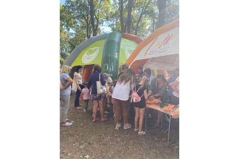 Piknik ekologiczny - pożegnanie lata