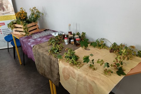 Warsztaty „Zioła smaczne, zdrowe i niezwykłe