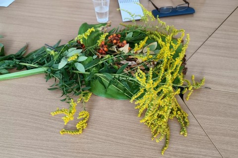 Warsztaty „Zioła smaczne, zdrowe i niezwykłe