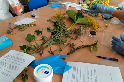 Warsztaty „Zioła smaczne, zdrowe i niezwykłe