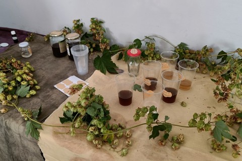 Warsztaty „Zioła smaczne, zdrowe i niezwykłe