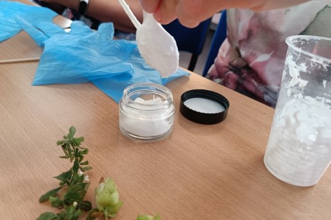 Warsztaty „Zioła smaczne, zdrowe i niezwykłe