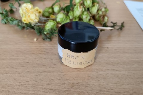 Warsztaty „Zioła smaczne, zdrowe i niezwykłe