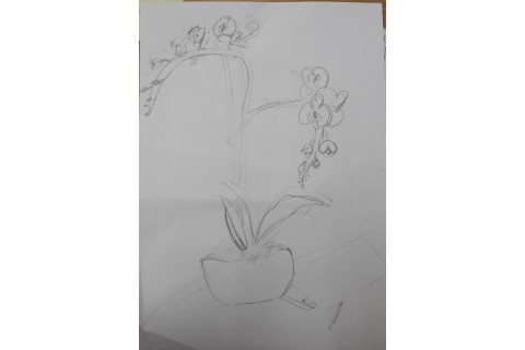 Zajęcia z rysunku dla dzieci 8-12 lat