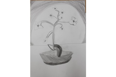 Zajęcia z rysunku dla dzieci 8-12 lat