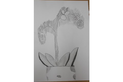 Zajęcia z rysunku dla dzieci 8-12 lat