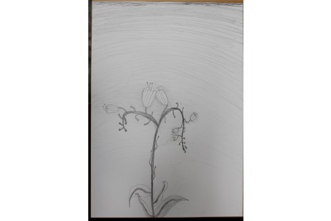 Zajęcia z rysunku dla dzieci 8-12 lat