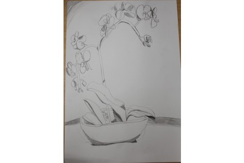 Zajęcia z rysunku dla dzieci 8-12 lat