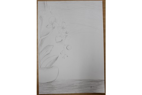 Zajęcia z rysunku dla dzieci 8-12 lat