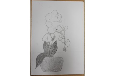 Zajęcia z rysunku dla dzieci 8-12 lat