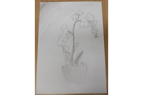 Zajęcia z rysunku dla dzieci 8-12 lat