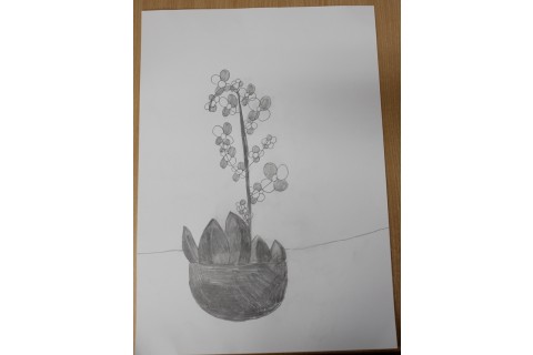 Zajęcia z rysunku dla dzieci 8-12 lat