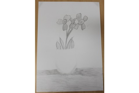 Zajęcia z rysunku dla dzieci 8-12 lat