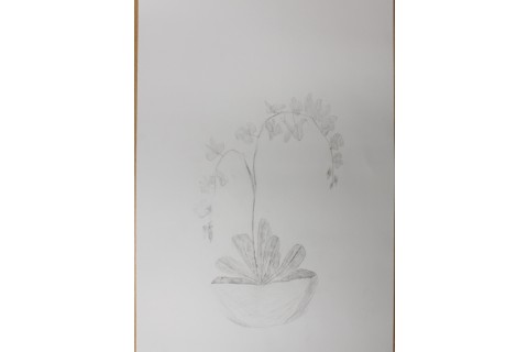 Zajęcia z rysunku dla dzieci 8-12 lat