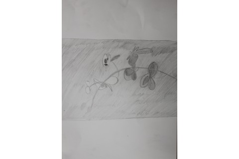 Zajęcia z rysunku dla dzieci 8-12 lat