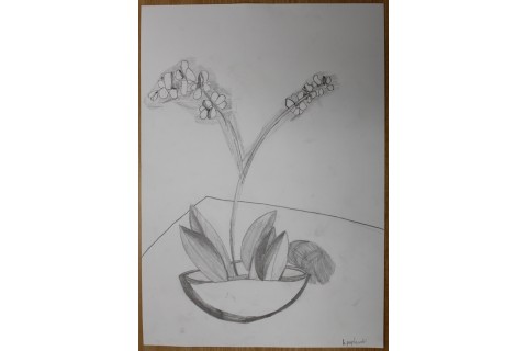 Zajęcia z rysunku dla dzieci 8-12 lat