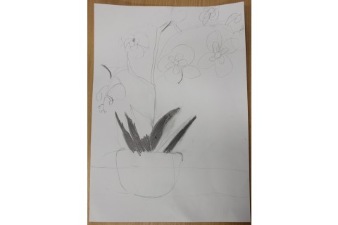 Zajęcia z rysunku dla dzieci 8-12 lat