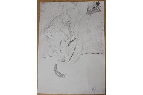 Zajęcia z rysunku dla dzieci 8-12 lat