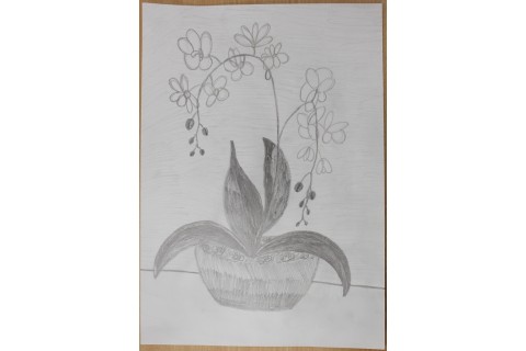 Zajęcia z rysunku dla dzieci 8-12 lat