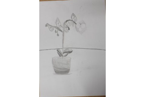 Zajęcia z rysunku dla dzieci 8-12 lat