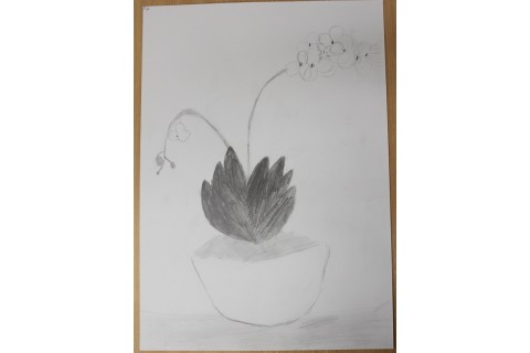 Zajęcia z rysunku dla dzieci 8-12 lat