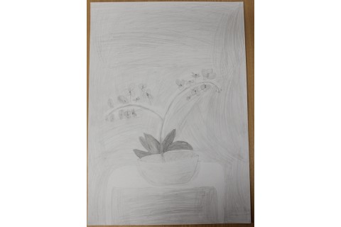 Zajęcia z rysunku dla dzieci 8-12 lat