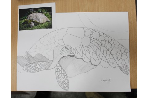 Zajęcia z rysunku dla dzieci 8-12 lat