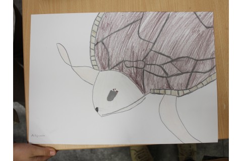 Zajęcia z rysunku dla dzieci 8-12 lat