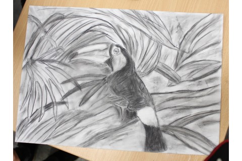 Zajęcia z rysunku dla dzieci 8-12 lat