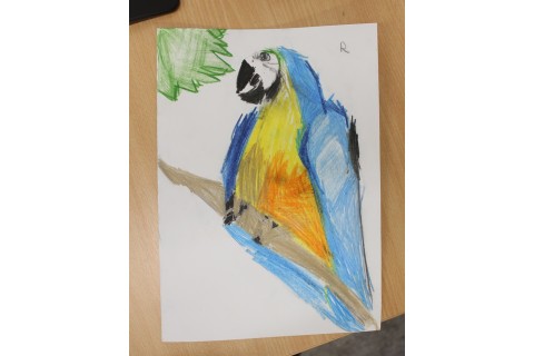 Zajęcia z rysunku dla dzieci 8-12 lat