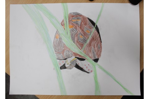 Zajęcia z rysunku dla dzieci 8-12 lat